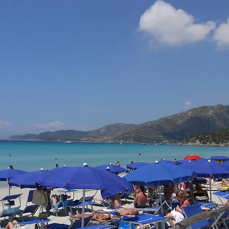 Simius