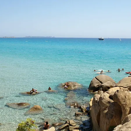Simius *